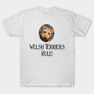 Welsh Terriers Rule! T-Shirt